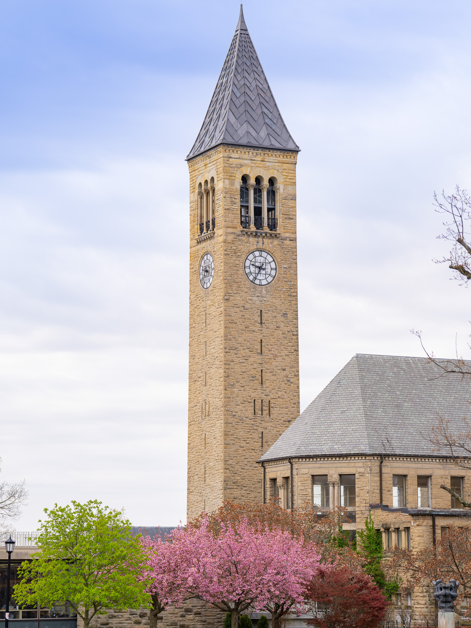 Spring in Pink